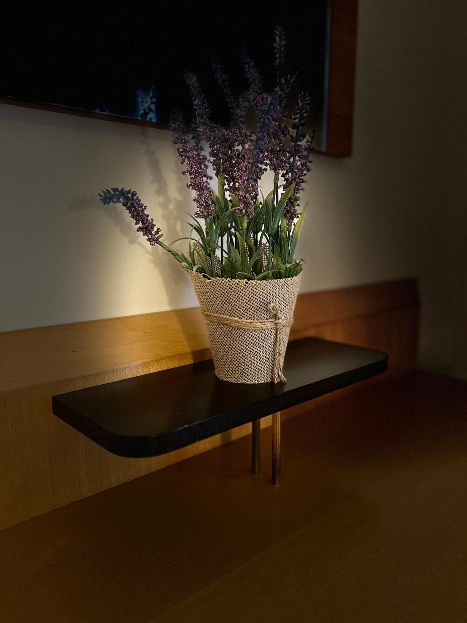 Exclusive Holiday Apartments 菲拉赫 外观 照片